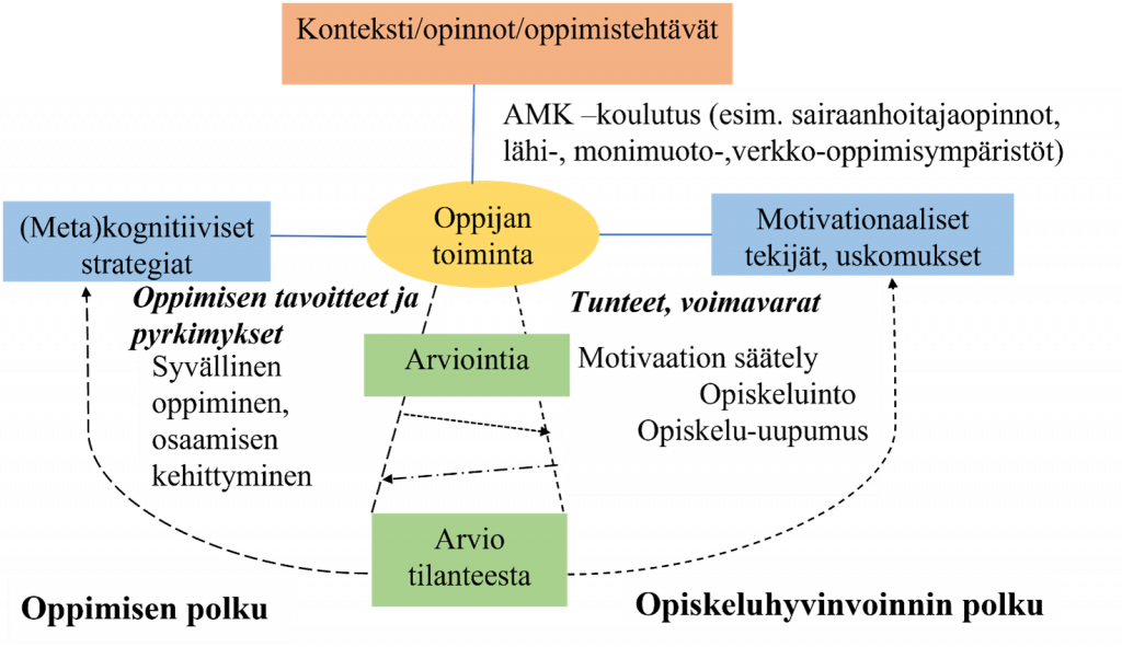 Edellä selitetty oppimisen säätelyn duaalimalli kuviona.