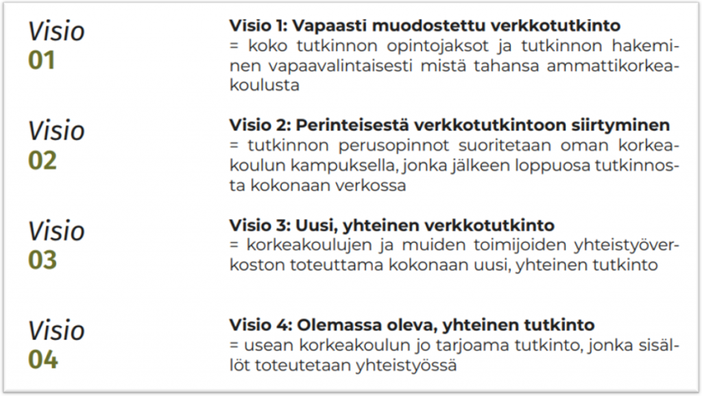 Kuviossa verkkotutkinnot on visioitu neljään visioon. Näitä ovat: Visio 1, vapaasti muodostettu verkkotutkinto eli koko tutkinnon opintojaksot ja tutkinnon hakeminen vapaavalintaisesti mistä tahansa ammattikorkeakoulusta. Visio 2, perinteisestä verkkotutkintoon siirtyminen eli tutkinnon perusopinnot suoritetaan oman korkeakoulun kampuksella, jonka jälkeen loppuosa tutkinnosta kokonaan verkossa. Visio 3 eli uusi yhteinen verkkotutkinto, jossa korkeakoulujen ja muiden toimijoiden yhteistyöverkoston toteuttama kokonaan uusi, yhteinen tutkinto. Visio 4 on olemassa oleva, yhteinen tutkinto. Siinä usean korkeakoulun jo tarjoama tutkinto, jonka sisällöt toteutetaan yhteistyönä.