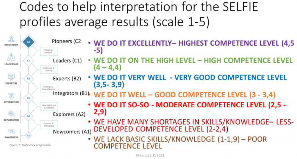 Codes to help interpretation for the selfie profiles average results in the picture format.