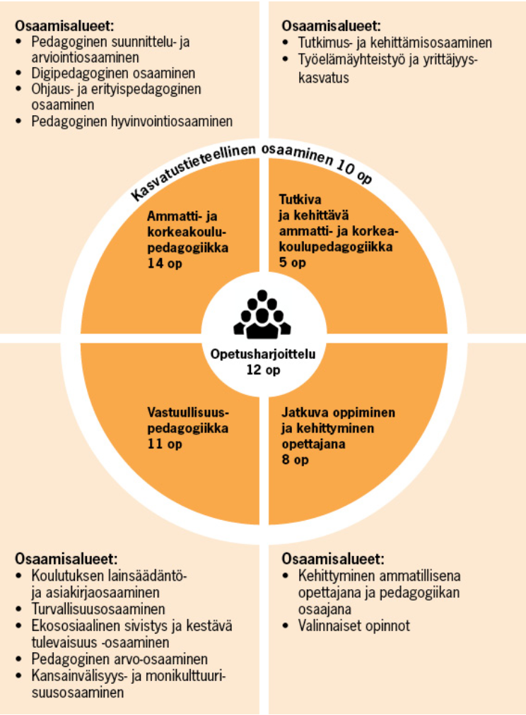 Edellä oleva teskti opetussuunnitelman koostumuksesta esitetty kuvion muodossa.