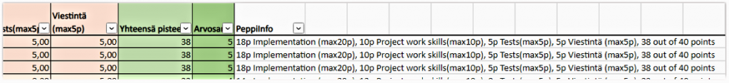 Kuvakaappaus excel-tiedostosta, jossa Peppi-info-kentässä näkyy opiskelijalle näytettävä suoritustietoteksti.
