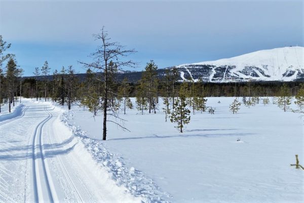 Valokuva, jossa hiihtolatu ja taustalla siintää tunturi.