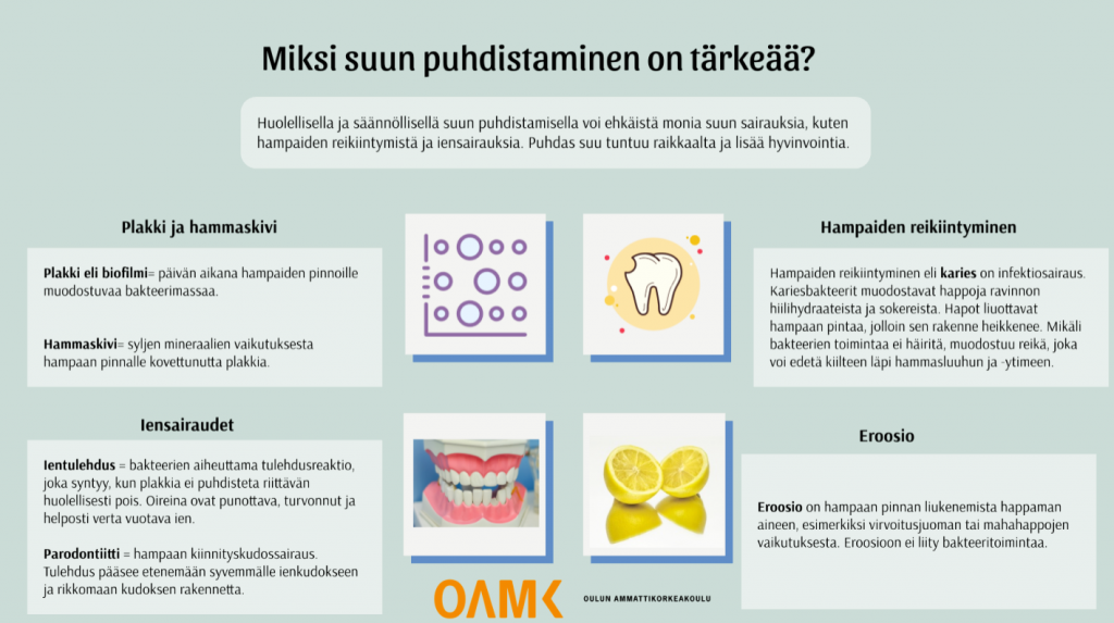 Kuvakaappaus oppaan sivusta miksi suun puhdistaminen on tärkeää. Sivulla käsitellään plakkia ja hammaskiveä, hampaiden reikiintymistä, iensairauksia ja eroosiota.