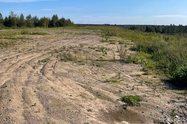 Valokuvassa avoin ja metsätön alue, jossa kasvaa lyhyttä heinikkoa.