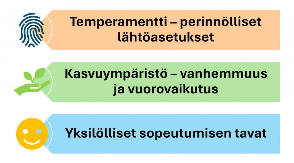 Kuvio, jossa kolme lokeroa. Ensimmäisessä temperamentti, perinnölliset lähtöasetukset, toisessa kasvuympäristö, vanhemmuus ja vuorovaikutus ja kolmannessa yksilölliset sopeutumisen tavat.