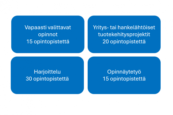 Tietotekniikan opintokokonaisuus kuviona.