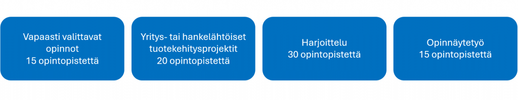 Edellä esitetty tietotekniikan opintokokonaisuus kuviona.